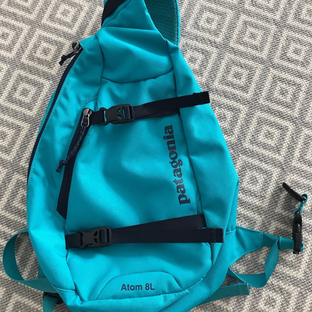 Patagonia Atom Sling 8L